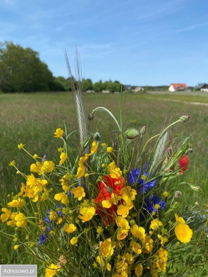 Działka budowlana Dąbrówka, ul. Kościelna. Zdjęcie 11