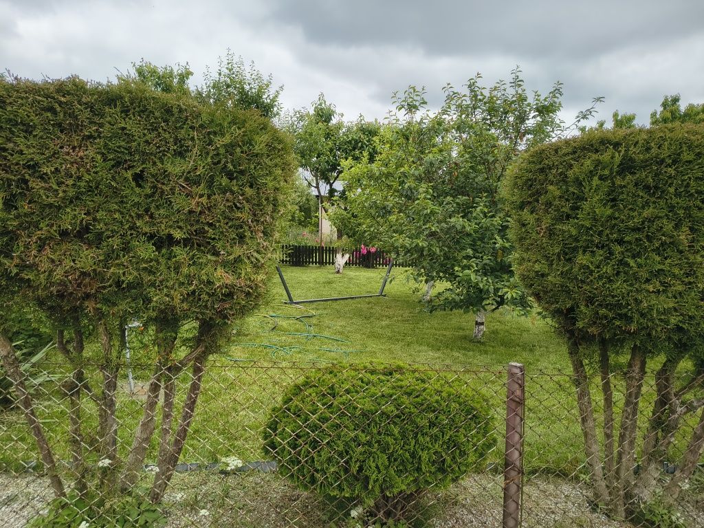 Działka rod Bełchatów. Zdjęcie 3