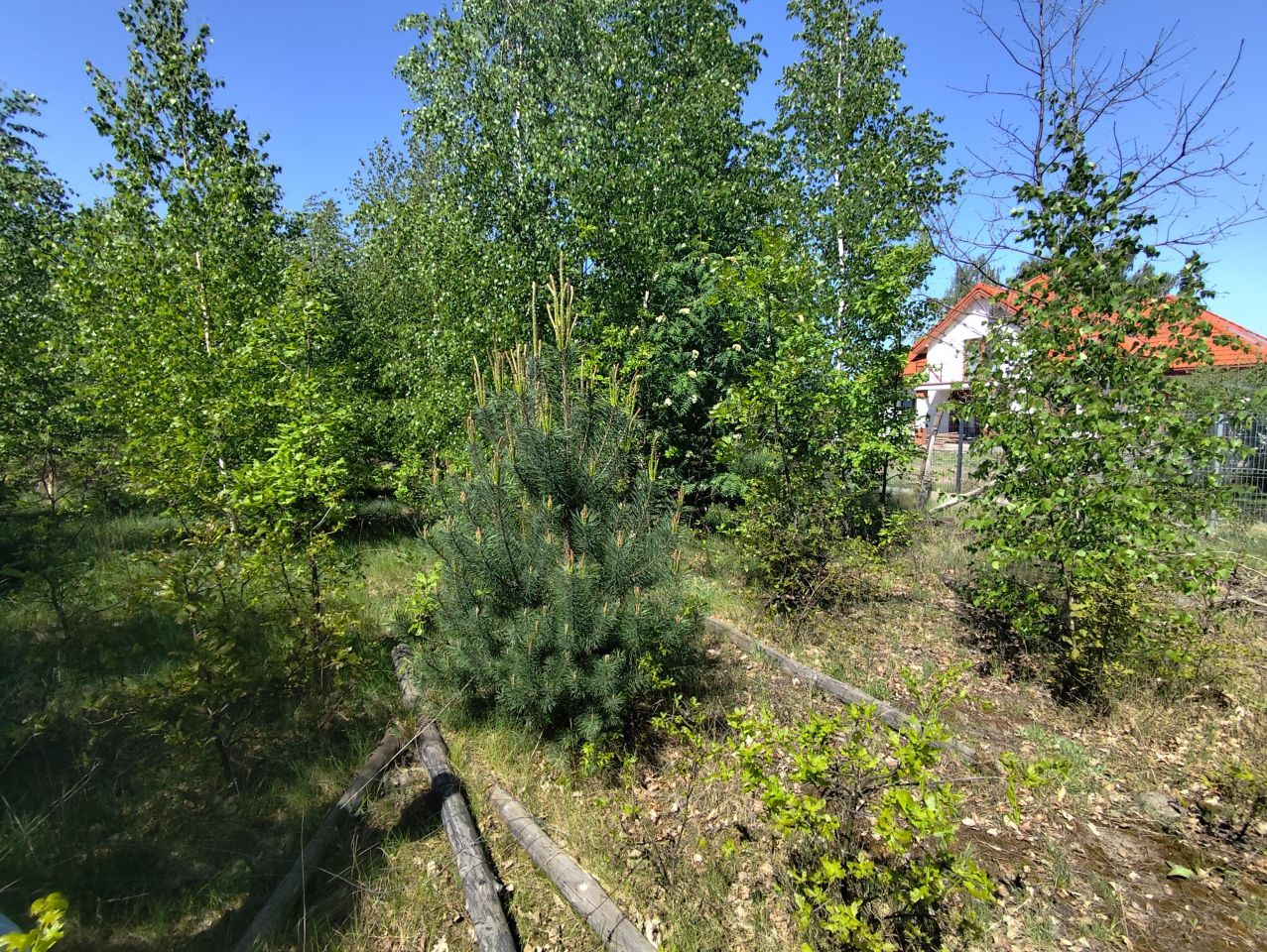 Działka inna Wólka Grodziska. Zdjęcie 3