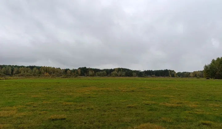 Działka budowlana Piaski