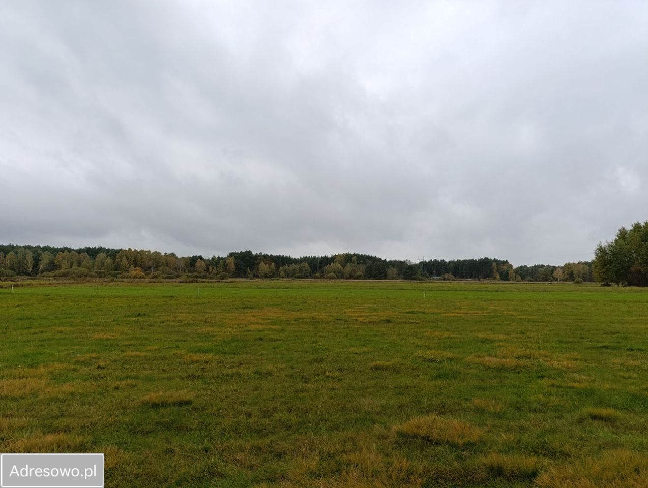 Działka budowlana Piaski