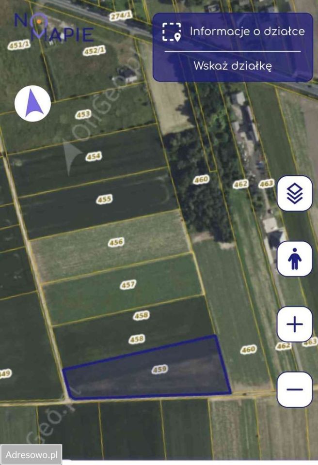 Działka rolna Kamienna-Kolonia. Zdjęcie 3