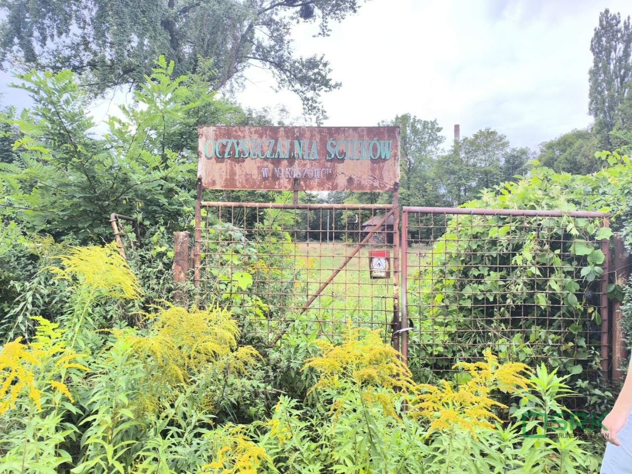 Działka inna Katowice, ul. Zamkowa. Zdjęcie 5