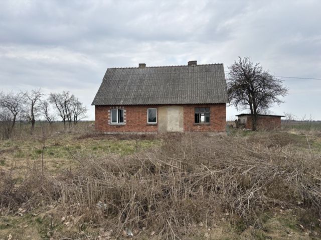 gospodarstwo, 5 pokoi Butowo. Zdjęcie 1