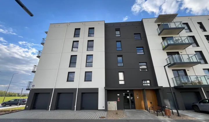 Mieszkanie 1-pokojowe Płock, ul. Żyzna