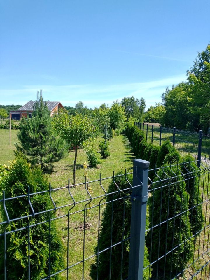 Działka budowlana Rościnno. Zdjęcie 3