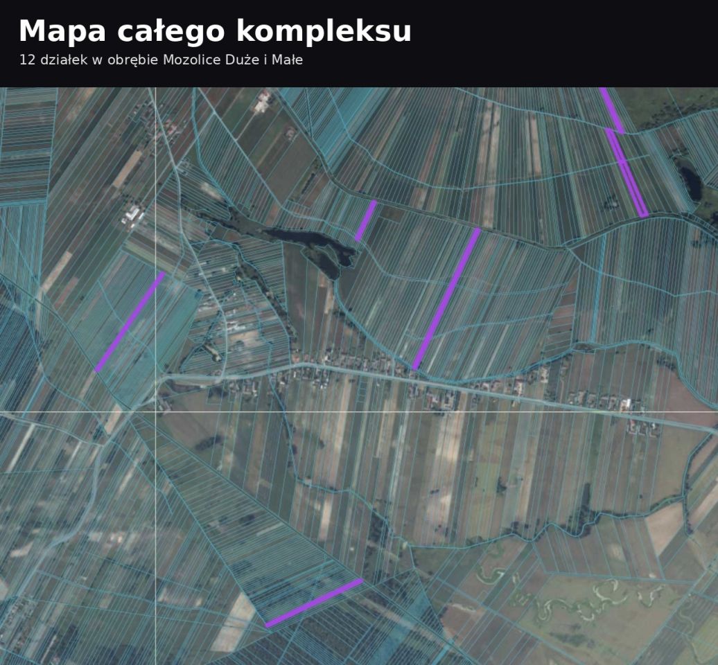 Działka rolna Mozolice Małe. Zdjęcie 2