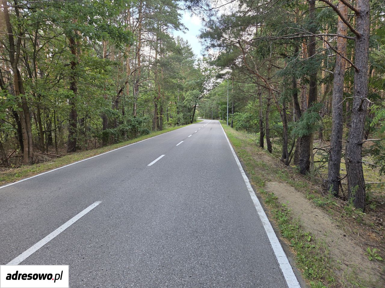Działka leśna Wólka Radzymińska, ul. Szkolna. Zdjęcie 9