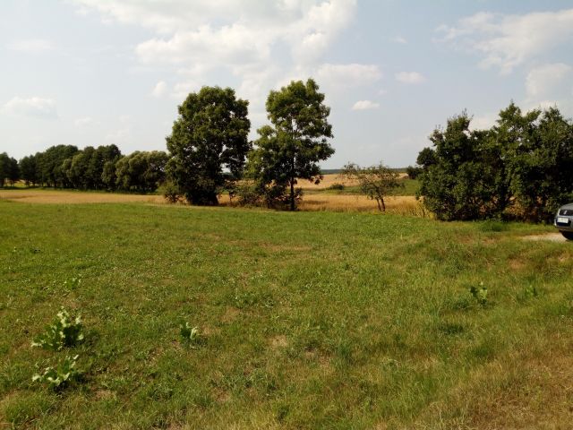Działka rolna Gliniski. Zdjęcie 1