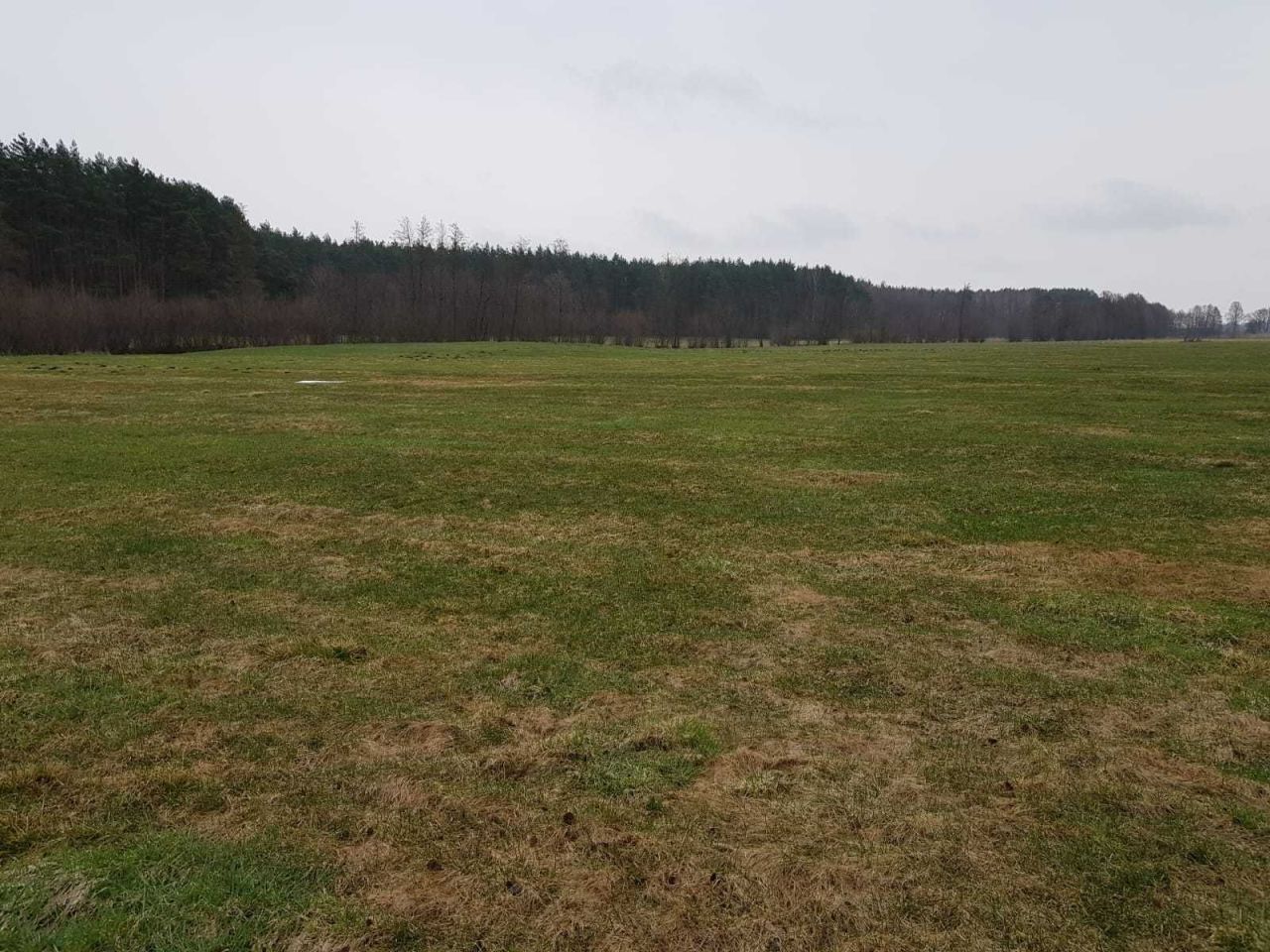 Działka rolna Sierosławek. Zdjęcie 3