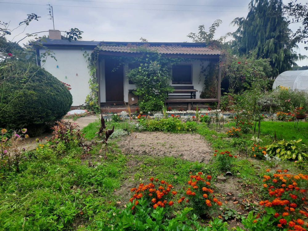 Działka rod Wagowo Wiśniewo