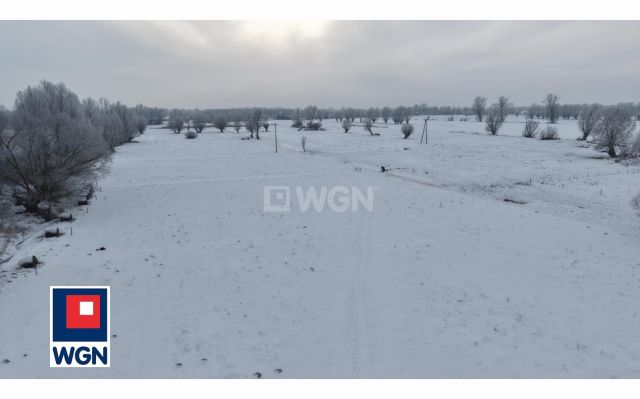 Działka rolna Markusy. Zdjęcie 2