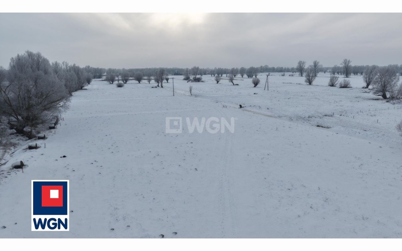 Działka rolna Markusy. Zdjęcie 2