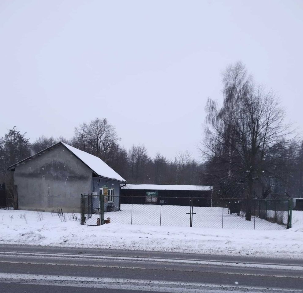 Działka inwestycyjna Krępa Kościelna. Zdjęcie 3
