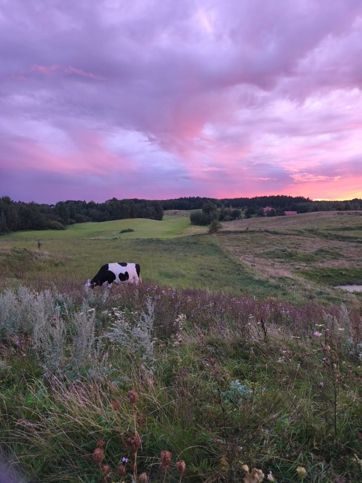 dom letniskowy, 2 pokoje Królowa Wola, Królowa Wola. Zdjęcie 11