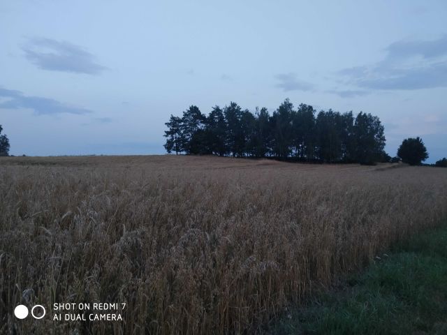 Działka budowlana Kobyla Góra Lipnik. Zdjęcie 1