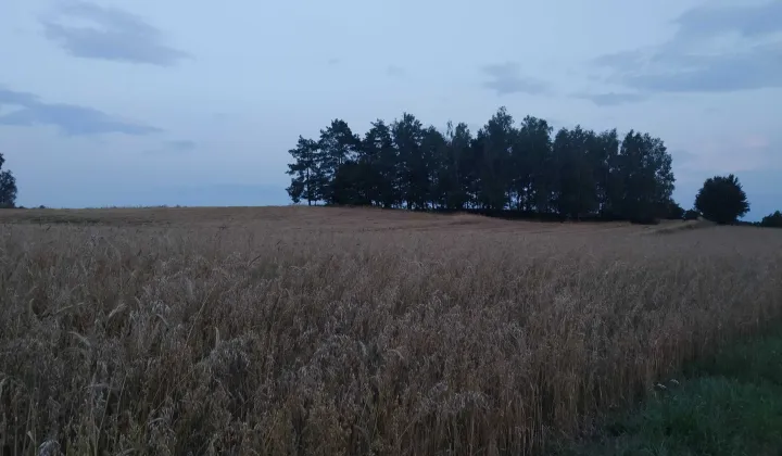 Działka budowlana Kobyla Góra Lipnik