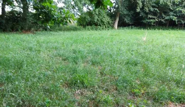 Działka na sprzedaż bez pośredników 
 
 Czajków - Widok 5