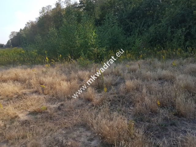 Działka budowlana Kosów. Zdjęcie 7