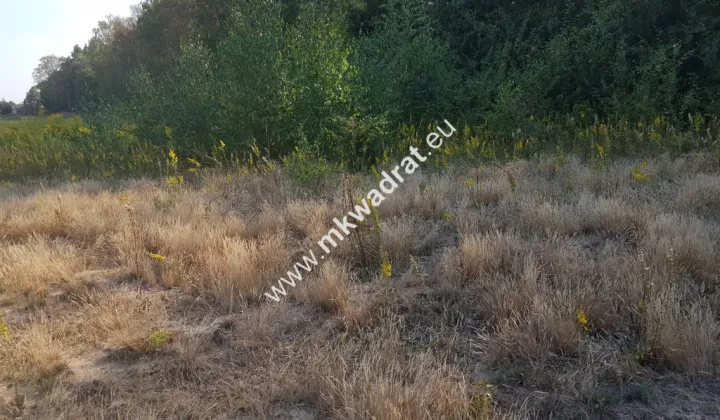 Działka budowlana Kosów