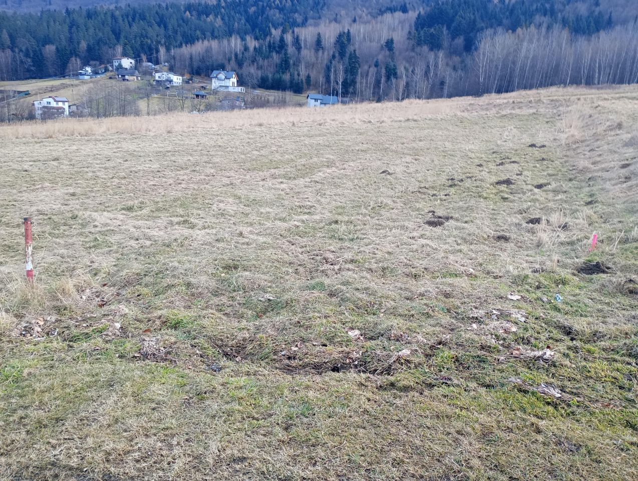 Działka budowlana Porąbka Wawakowo, ul. Kłosowa. Zdjęcie 4