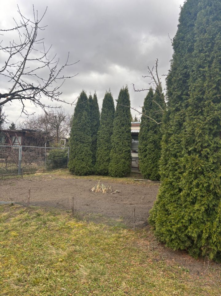 Działka rod Września, ul. Działkowców. Zdjęcie 4