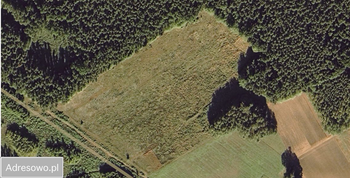 Działka budowlana Ossa. Zdjęcie 2