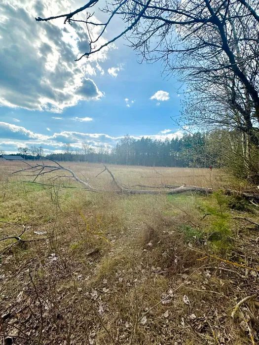 Działka budowlana Czerwonka Szlachecka. Zdjęcie 4