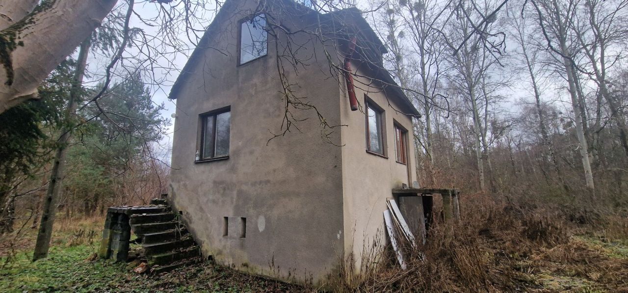 Działka leśna Rzgów, ul. Literacka. Zdjęcie 6