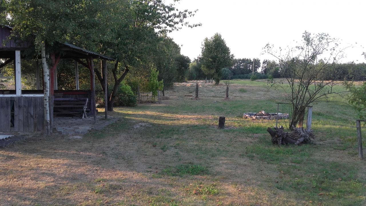 Działka rolno-budowlana Krasienin-Kolonia. Zdjęcie 5