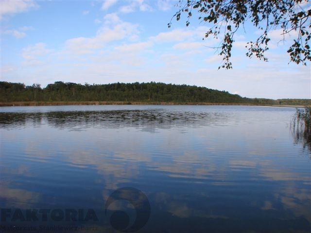 Działka budowlana Stolec. Zdjęcie 1