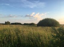 Działka rolna Wielkie. Zdjęcie 3