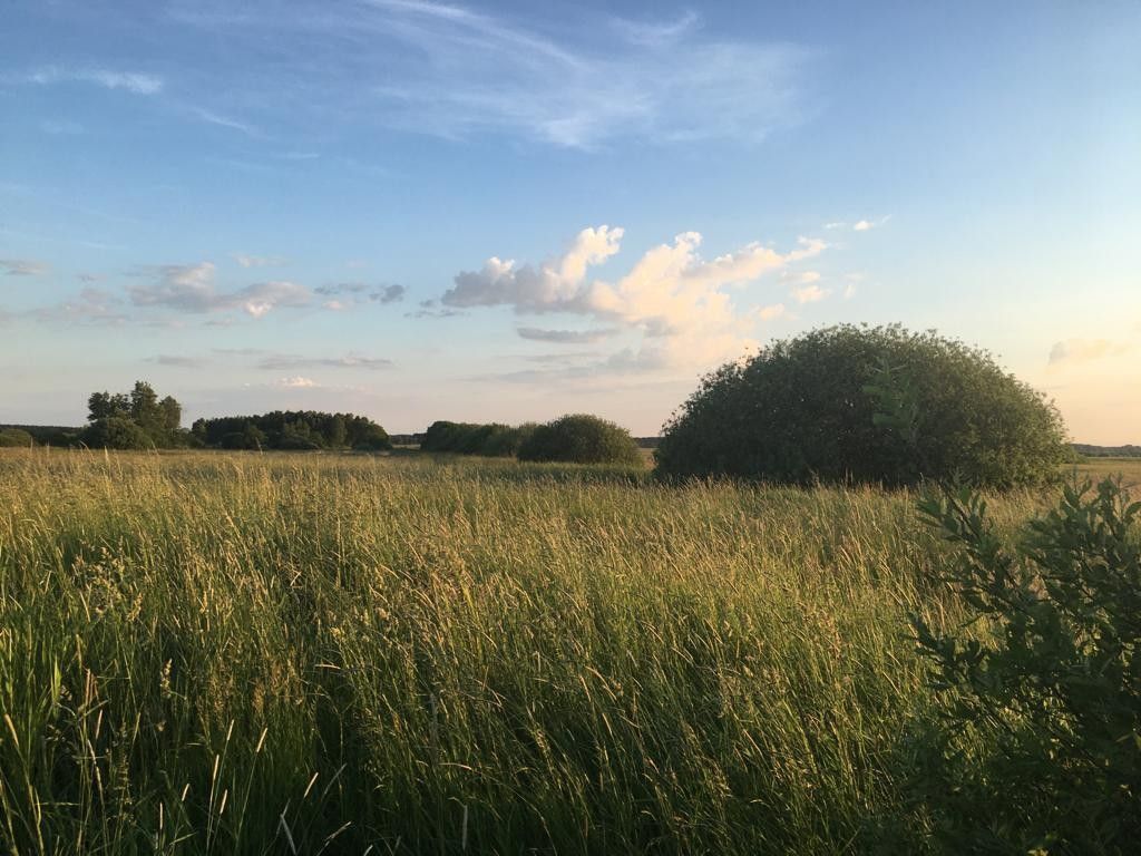 Działka rolna Wielkie. Zdjęcie 4