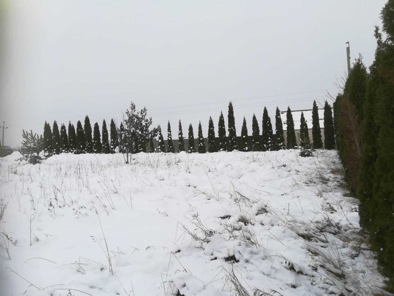 Działka budowlana Lubieszyn. Zdjęcie 3