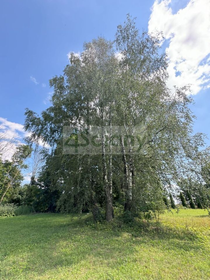 Działka siedliskowa Sławka Mała. Zdjęcie 2