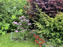 dom wolnostojący, 6 pokoi Przemyśl, ul. Marcina Bielskiego. Zdjęcie 4