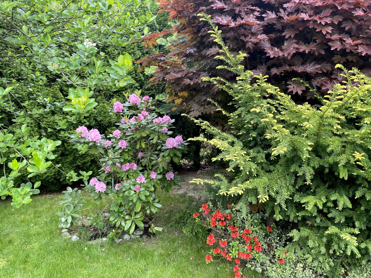 dom wolnostojący, 6 pokoi Przemyśl, ul. Marcina Bielskiego. Zdjęcie 5