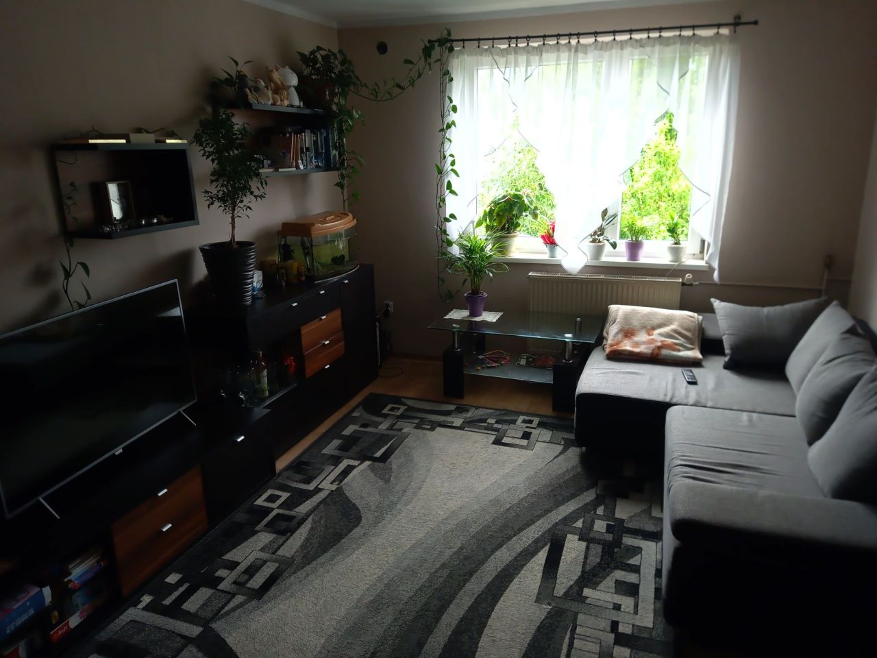 Mieszkanie 3-pokojowe Patryki