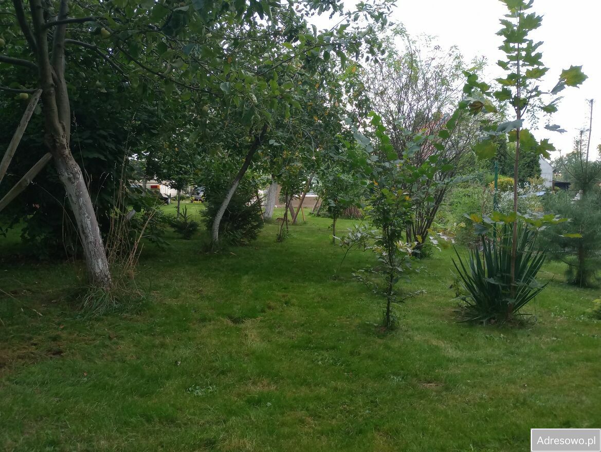 Działka budowlana Piława Górna, ul. Stefana Okrzei. Zdjęcie 8