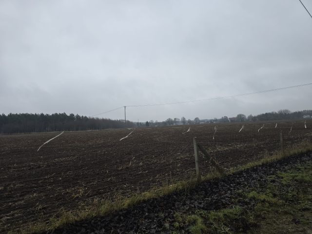 Działka budowlana Nowy Dwór. Zdjęcie 1