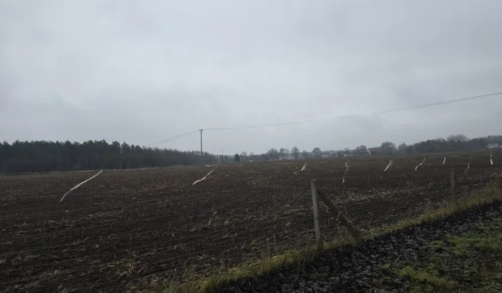 Działka budowlana Nowy Dwór