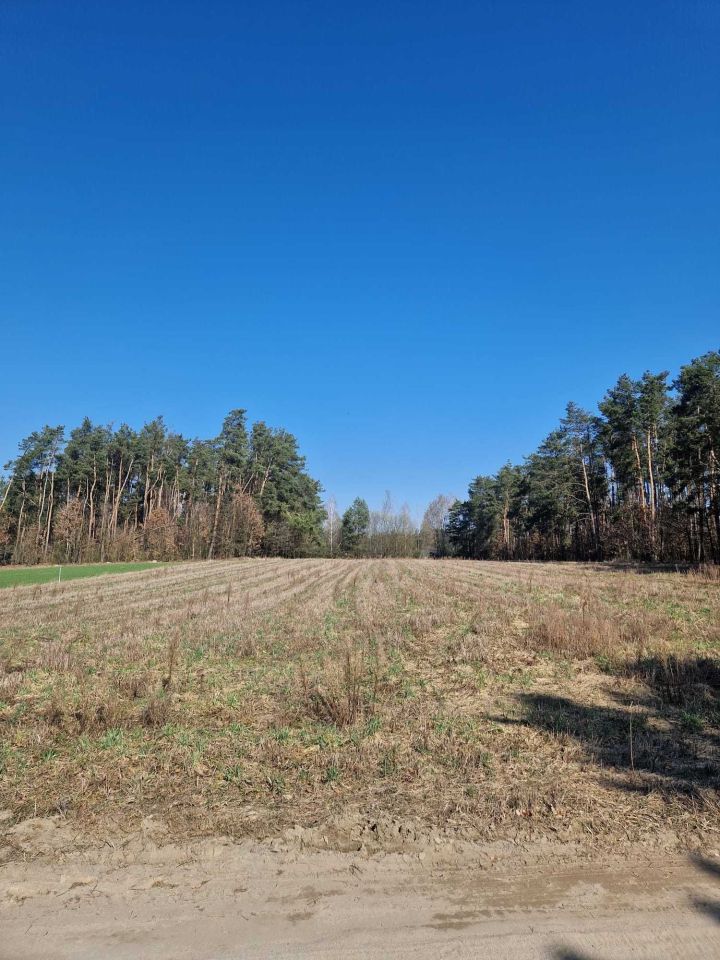 Działka budowlana Brzóza, ul. Stara Brzóza. Zdjęcie 2