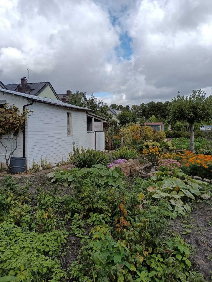 Działka rod Stargard, ul. Grunwaldzka. Zdjęcie 6