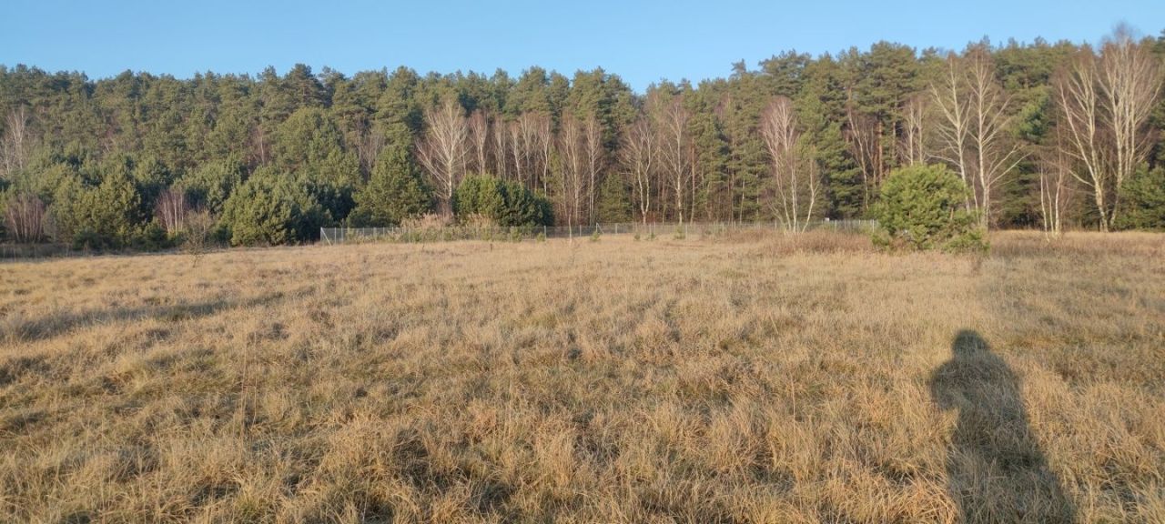 Działka budowlana Radomin. Zdjęcie 4