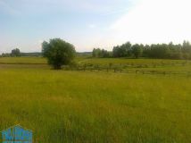 Działka budowlana Tągowie. Zdjęcie 4