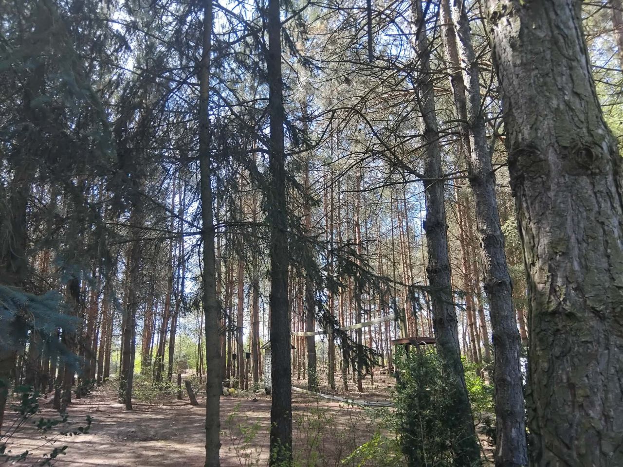 dom wolnostojący, 3 pokoje Wola Pieczyska. Zdjęcie 26