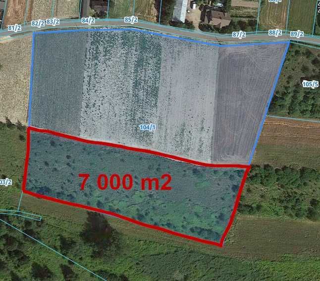 Działka rolna Krępiny. Zdjęcie 2