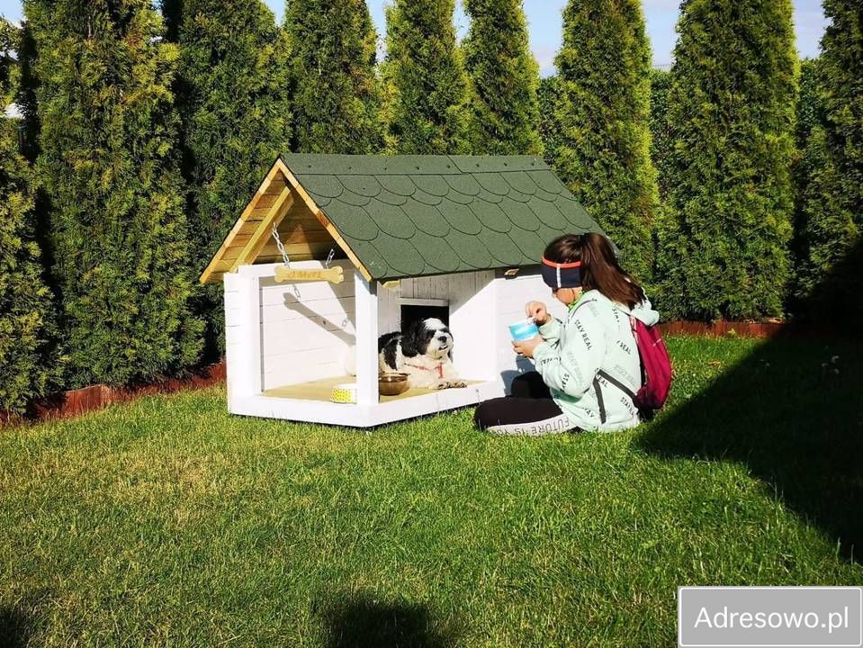 Działka rod Człuchów. Zdjęcie 7