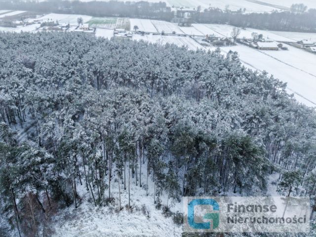 Działka budowlana Kochanów. Zdjęcie 6