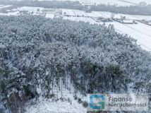 Działka budowlana Kochanów. Zdjęcie 4